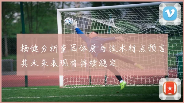 杨健分析奎因体质与技术特点预言其未来表现将持续稳定