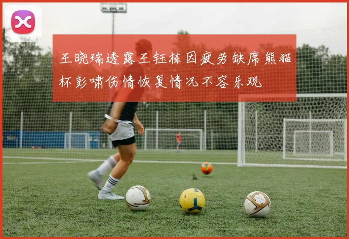 王晓瑞透露王钰栋因疲劳缺席熊猫杯彭啸伤情恢复情况不容乐观