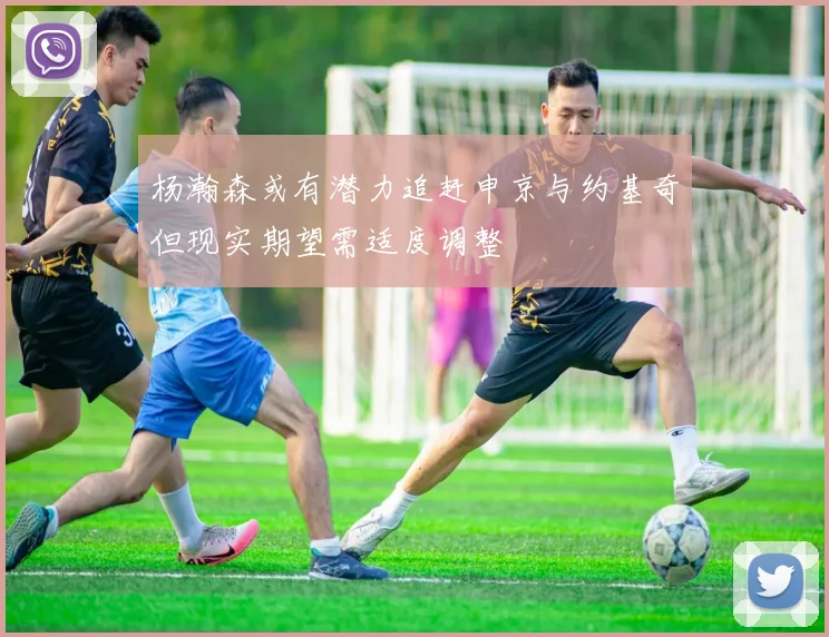杨瀚森或有潜力追赶申京与约基奇但现实期望需适度调整